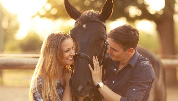 عربی وائلڈ لائف پارک