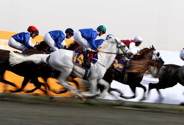 متحدہ عرب امارات کے 3 انتہائی مشہور کھیل