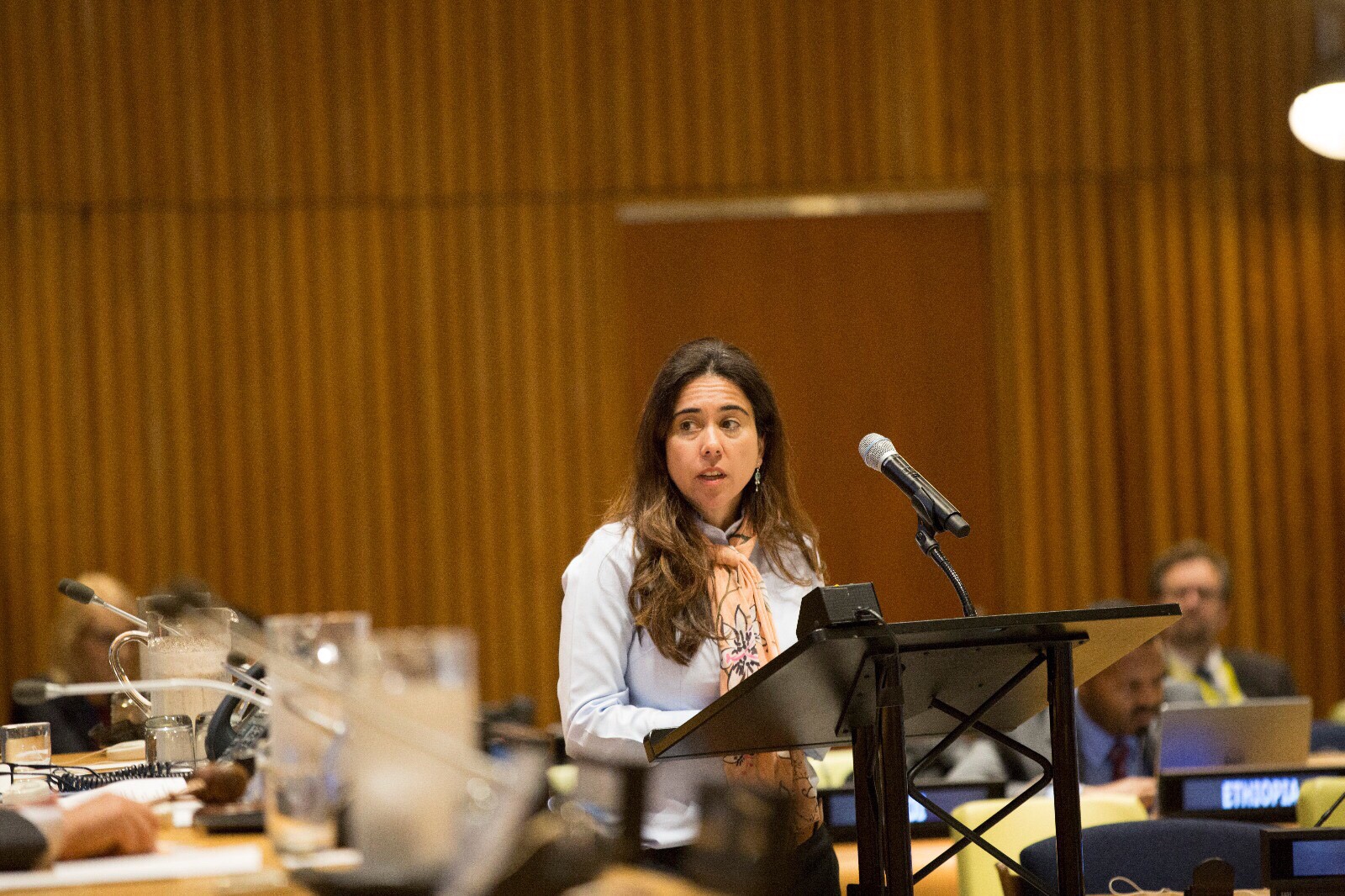 اقوام متحدہ میں متحدہ عرب امارات کی سفیر لانا زكي نسيبة