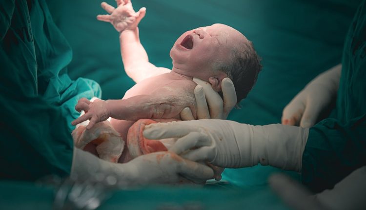 امارات میں کورونا وائرس کے دوران 83،000 بچے پیدا ہونے کی توقع