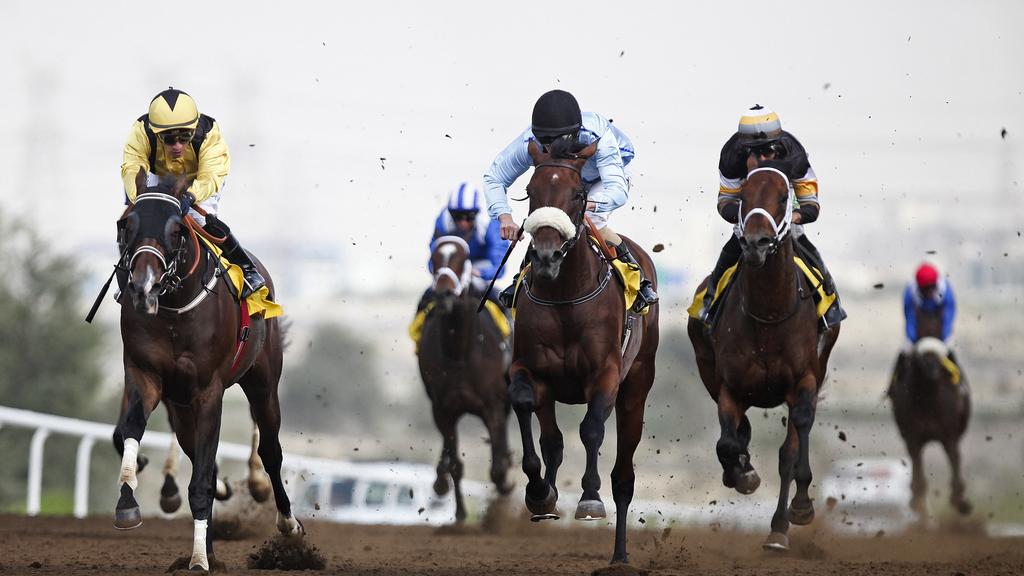 امارات میں روایتی ہارس ریسنگ سیزن 29 اکتوبر سے شروع ہوگا