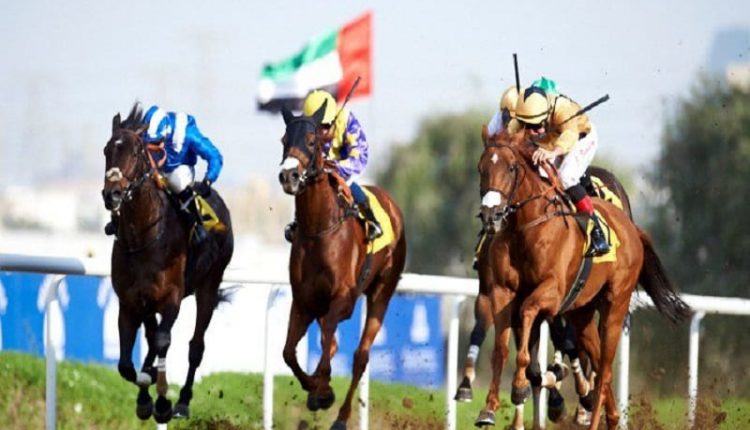 امارات میں روایتی ہارس ریسنگ سیزن 29 اکتوبر سے شروع ہوگا