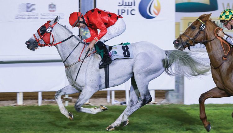 خالص عربوں کیلیے دنیا کی سب سے مہنگی ترین ہارس ریس