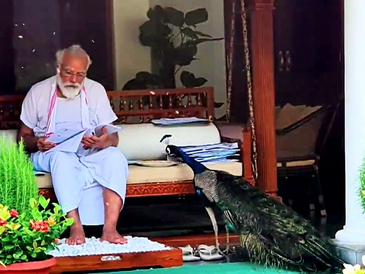 ہندوستان تین بحرانوں کا شکار، لیکن مودی چاہتا ہے کہ آپ اسکے موروں کی تعریف کریں