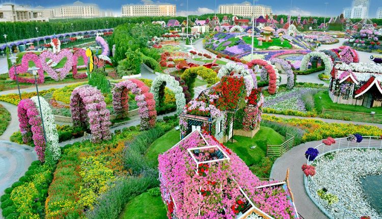 دبئی میریکل گارڈن بروز اتوار دوبارہ حفاظتی اقدامات کے ساتھ کھلے گا